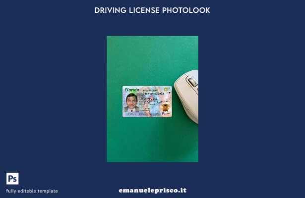 modello FRONTE photolook USA Florida DL stile verificato